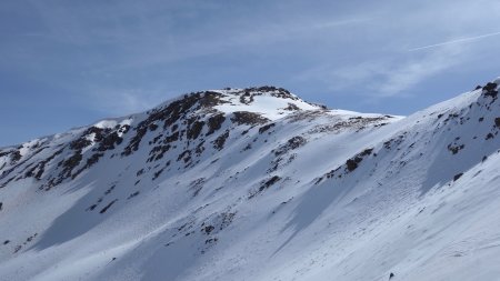 Crête cornichée