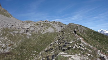 Dans la montée