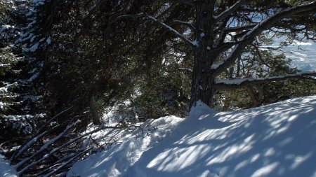 Vue arrière sur l’itinéraire  d’accès au belvédère.