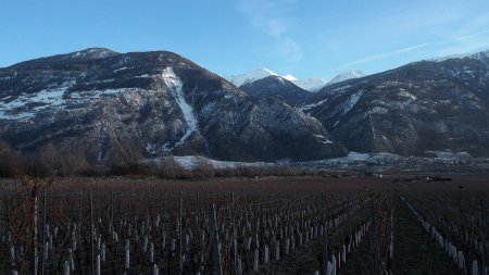 Traversée des vignobles.