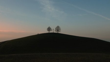 Croix du Saut (908m) et ses 2 arbres.