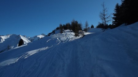 Tranquille fin de montée à l’Arpille.