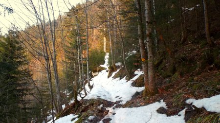 La suite du sentier est plus tranquille.