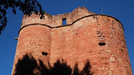 Burgruine Neudahn, façade ouest.