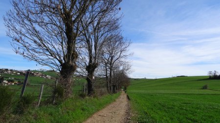 Traversée de plateau.