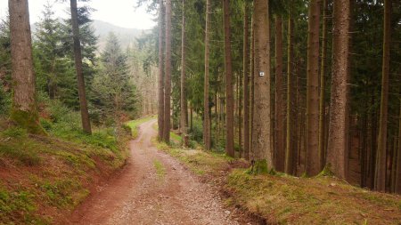 Peu avant l’arrivée à Breitenberg.