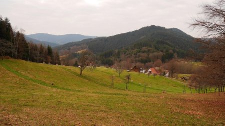 Sur le sentier, en amont de Breitenberg.