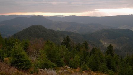 Vue du Westweg, en chemin vers le Lotharpfad.