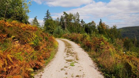 Courte descente après Grubensattel, vue arrière.