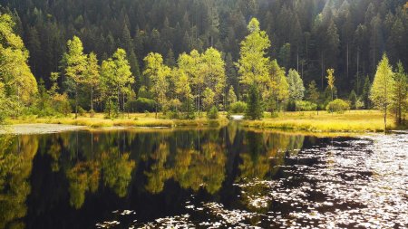 Ellbachsee.