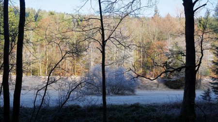 Sur la rive droite du ruisseau.