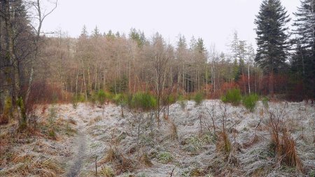 Sur le Wasserwegle, au bord du ruisseau Eyach.