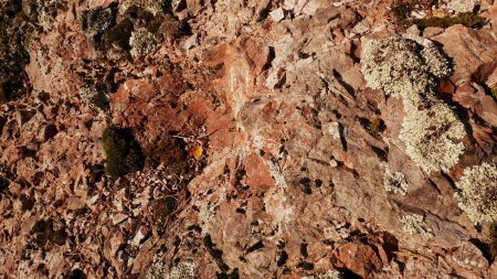 Détail du porphyre à Breitfelsen, quasi identique à celui du Karlsruher Grat.