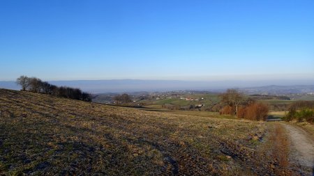 Vers les monts du Forez.