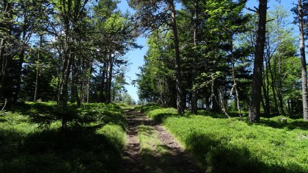 Montée au Suc des Trois Chiens.