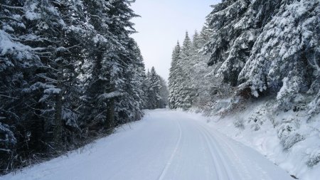 Départ avec un léger brouillard.