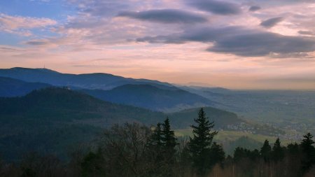 Vue de la Fremersbergturm.