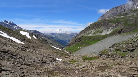 Descente en rive gauche du ruisseau du Niolet, face à la Grande Motte.