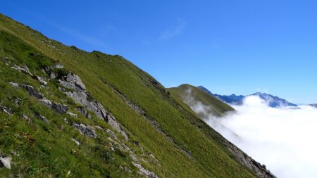 Dans le rétro.