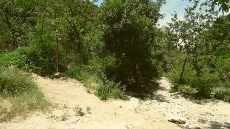 Sentier de remontée.