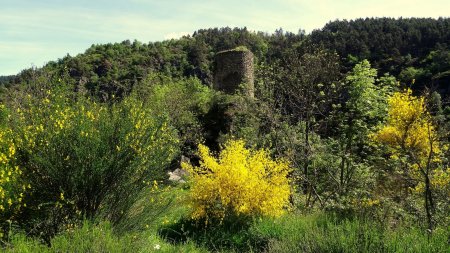 Tour D’Oriol.