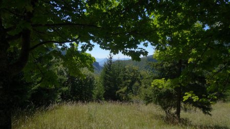 Petite fenêtre sur la vallée.