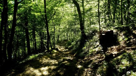 Descente dans le vallon de Grangent.