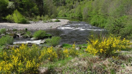 Rapide de la Loire.