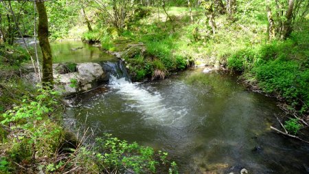 Le ruisseau de la Bethe.