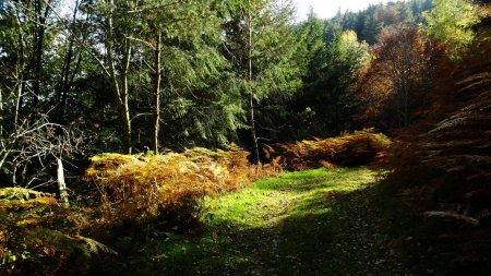 Rayon de soleil à la confluence du vallon du Rioclard.