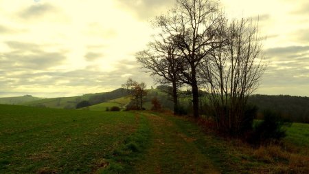 Au «Grand Mont», vue sur les Sept Pins.