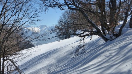 Vue de la crête