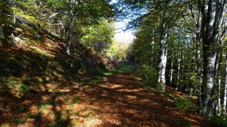 Sur le «Chemin de Ronde».