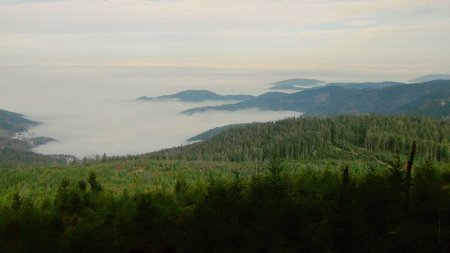 Du flanc nord du Hochkopf, vue dégagée vers le nord.