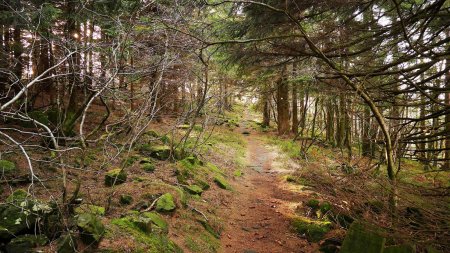 Sentier longeant la bordure occidentale du plateau (en direction de la Bergwacht-Hütte).