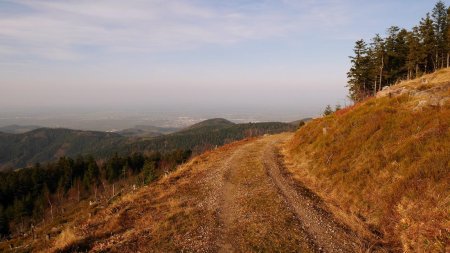 Chemin contournant le flanc sud du Hornisgrinde.