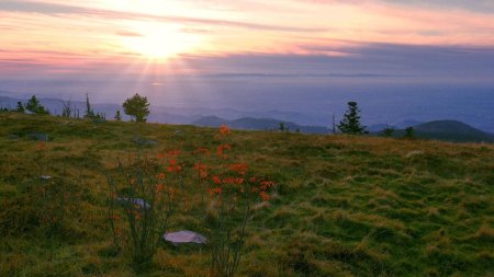 Soleil couchant au Hornisgrinde.