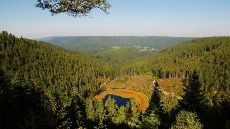 Huzenbacher Seeblick.