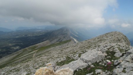 sur la crête du Grand Veymont