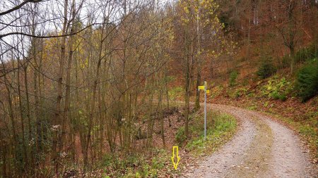 Jonction du sentier avec le Iberstweg.