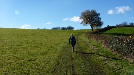 Traversée des champs.