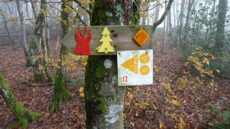 Le chevreuil en panneau !