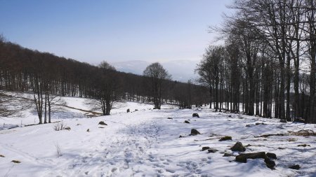 En descente vers Gummenhof.