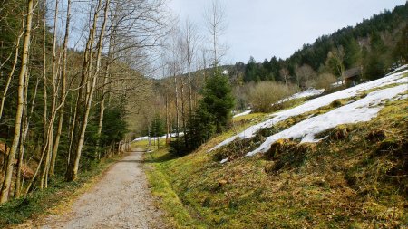 Chemin entre la sortie des chutes et le départ du sentier vers le Karlsruher Grat.