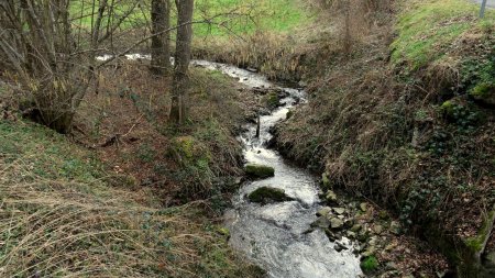 Ruisseau de la Gimond (de la rive gauche de la Coise).