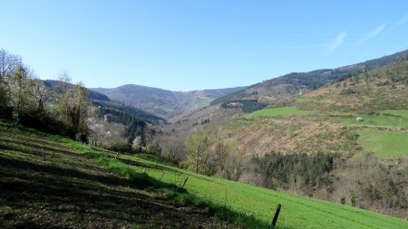 Vallée du Ban.