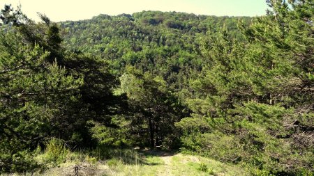 Col de Corbière.