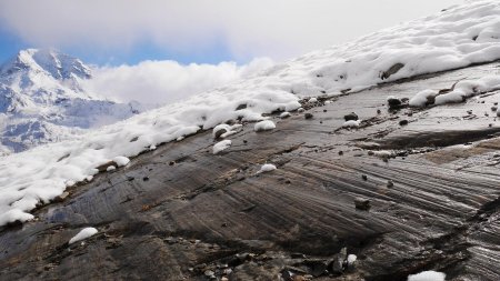 Dalle de roche moutonnée.