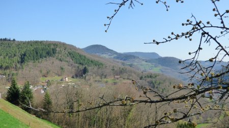 Au début du verger du Bâa, vue sur le hameau des Buissons et le Kalblin.