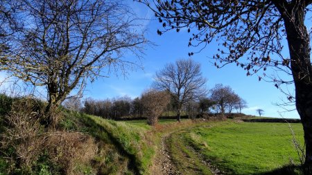 Montée vers Saint-Pierre...